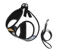 Emperor Penguins With Children In Snow,Pet Harness,Adjustable Reflective Dog Harness,Pet Leash Vest,S
