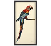 Empire Art Direct Dimensional Collage Handmade by Alex Zeng Framed Graphic Wall Art Ready to Hang, Paper Wood Glass, Tropical Parrot, 33" x 17" x 1.4"