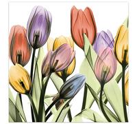 Empire Art Direct Frameless Free Floating Tempered Glass Panel Graphic Wall Art Ready to Hang, 24" x 24", Tulip Scape x-ray I