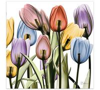 Empire Art Direct Frameless Free Floating Tempered Glass Panel Graphic Wall Art Ready to Hang, 24" x 24", Tulip Scape x-ray II