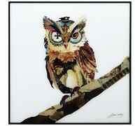 Empire Art Direct Wall Art,Reverse Printed Glass and Anodized Aluminum Black Frame, Contemporary,Ready to Hang,Living Room,Bedroom ＆ Office, 24 in. x 1 in. x 24in, The Wisest Owl