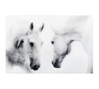 Empire Art Direct White Horse Wall Art Graphic Printed on Frameless Free Floating Tempered Glass Panel Ready to Hang, Living Room, Bedroom & Office, 32" x 48" x 0.2", Multicolor