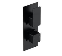 Empire Contemporary Bathroom Concealed Square Twin Thermostatic Shower Valve with Diverter, 215mm, Matt Black - Balterley