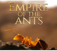 Empire of the Ants Xbox Series X|S Account