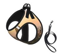 Empire State Building Printing Dog Summer Harness,Soft Light Puppy Vest,Breathable Pet Harness Reflective For Easy Walking