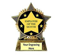 Employee of the Month Mini Star Trophy Award 90mm Free Engraving TSL