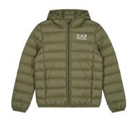 Emporio Armani EA7 / Children's Jacket TRAIN CORE ID BOY DOWN LIGHT HOODED JACKE in Kaki 16 years