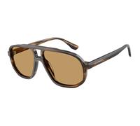 Emporio Armani Man Sunglass EA4263U - Frame color: Striped Dark Green, Lens color: Brown