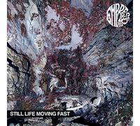 Empress AD - Still Life Moving Fast