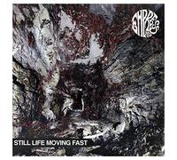 Empress AD - Still Life Moving Fast [VINYL]