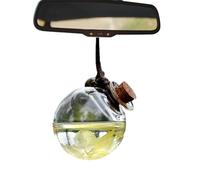 Empty Car Speaker Bottles: Car Aroma Glass Container, Mini Decorative Glass Bottle | Perfume Pendant in Wood, Refillable Glass Bottles