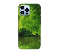 EMPYRI Beautiful Green Nature Printed Magnetic Case for iPhone 13 Pro Case Frosted Shockproof Clear Phone Case Cover 6.1 Inch,High-Speed Charging,Acrylic Back,Not Yellowing