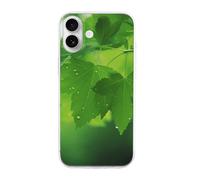 EMPYRI Clear Phone Case for iPhone 16 Plus, Green Nature Printed Shockproof TPU Phone Cases Cover with Wireless Charging, Scratch-Resistant, Anti-Yellowing