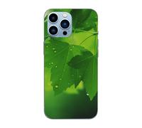 EMPYRI Green Nature Printed Magnetic Case for iPhone 13 Pro Case Frosted Shockproof Clear Phone Case Cover 6.1 Inch,High-Speed Charging,Acrylic Back,Not Yellowing