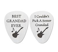 EMSea 2Pcs Guitar Pick Plectrum Replacement Guitar Bass Picks with English Words Stainless Steel Guitar Plectrums Accessories 30x40mm Style A