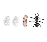 EMUKOEP Interactive Ant and Mosquito Life Cycle Toy Set, Educational Insect Growth Cycle Figures for Kids, 4 Models (#2)