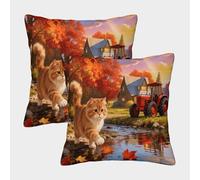 EMYXPAQM American Curl Cat Cushion Covers Set of 2, Soft Microfiber Throw Pillow Covers with Hidden Zipper, Premium Square Pillow Cases, for Garden Livingroom Couch Patio Furniture 40x40cm
