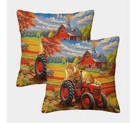 EMYXPAQM American Curl Cat Cushion Covers Set of 2, Soft Microfiber Throw Pillow Covers with Hidden Zipper, Premium Square Throw Pillow Cases, for Livingroom Couch Sofa 40x40cm