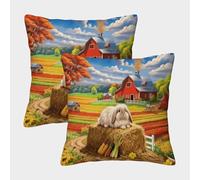 EMYXPAQM Angora Rabbit Cushion Covers Set of 2, Soft Microfiber Throw Pillow Covers with Hidden Zipper, Premium Square Throw Pillow Cases, for Sofa Bed Indoor Outdoor 45x45cm