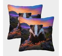 EMYXPAQM Badger Cushion Covers Set of 2, Throw Pillow Covers Soft Polyester Square Decorative Throw Pillow Cases, for Garden Livingroom Couch Patio Furniture 40x40cm