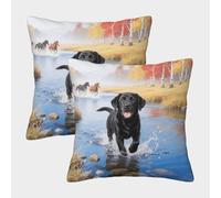 EMYXPAQM Black Labrador Retriever Cushion Covers Set of 2, Premium Polyester Throw Pillow Cover with Hidden Zipper, Square Decorative Throw Pillow Cases, for Livingroom Couch Bed Sofa 40x40cm