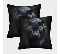 EMYXPAQM Black Panther Cushion Covers Set of 2, Premium Polyester Couch Pillow Covers with Hidden Zipper, Premium Square Throw Pillow Cases, for Garden Livingroom Couch Patio Furniture 40x40cm