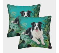 EMYXPAQM Border Collie Cushion Covers Set of 2, Premium Polyester Throw Pillow Cover with Hidden Zipper, Premium Square Throw Pillow Cases, for Couch Sofa Bed Living Room Bedroom 50x50cm