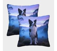 EMYXPAQM Border Collie Cushion Covers Set of 2, Premium Polyester Throw Pillow Covers with Hidden Zipper, Square Decorative Throw Pillow Cases, for Livingroom Couch Bed Sofa 50x50cm