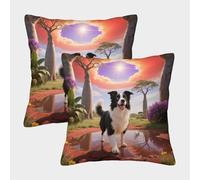 EMYXPAQM Border Collie Cushion Covers Set of 2, Premium Polyester Throw Pillow Covers with Hidden Zipper, Premium Square Pillow Cases, for Livingroom Couch Bed Sofa 40x40cm