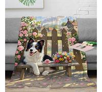 EMYXPAQM Border Collie Fleece Throw Blanket for Couch Sofa Bed All Season Border Collie Country Yard Pattern Blanket Fluffy Soft Warm Flannel Gifts for Kids Teens Adults 50x60inch(127x152cm)