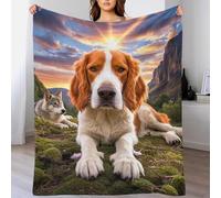 EMYXPAQM Brittany Spaniel Fleece Throw Blanket for Couch Sofa Bed All Season Dog Valley Pattern Blanket Comfort Warmth Flannel Creative Gift for Girls Kids Adults 80x90inch(200x230cm)
