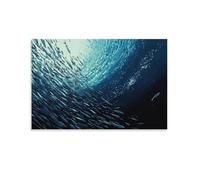 EMYXPAQM Canvas Wall Art Underwater Fish Swarm Modern Artwork High Definition Home Decoration for Bedroom Office Kitchen 20x30inch(50x75cm)