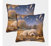 EMYXPAQM Cream Poodle Cushion Covers Set of 2, Premium Polyester Throw Pillow Covers with Hidden Zipper, Square Decorative Throw Pillow Cases, for Couch Sofa Bed Living Room Bedroom 45x45cm