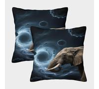 EMYXPAQM Elephant Cushion Covers Set of 2, Elephant Vortex Throw Pillow Covers Polyester Washable Square Decorative for Couch Sofa Bed Living Room Bedroom 45x45cm