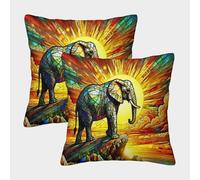 EMYXPAQM Elephant Cushion Covers Set of 2, Soft Microfiber Couch Pillow Covers with Hidden Zipper, Square Decorative Throw Pillow Cases, for Couch Sofa Bed Living Room Bedroom 45x45cm