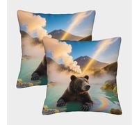 EMYXPAQM Eurasian Brown Bear Cushion Covers Set of 2, Premium Polyester Throw Pillow Covers with Hidden Zipper, Premium Square Throw Pillow Cases, for Couch Sofa Bed Living Room Bedroom 45x45cm