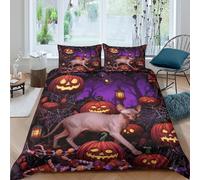 EMYXPAQM Halloween Duvet Cover Set 3D Sphynx Cat Spider Web Design Bedding Sets Ultra Soft Microfiber Duvet Cover with Zipper & Pillowcase for Kids Girls Adults King（220x240cm）