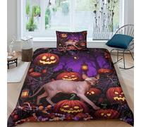 EMYXPAQM Halloween Duvet Cover Set 3D Sphynx Cat Spider Web Design Bedding Sets Ultra Soft Microfiber Duvet Cover with Zipper & Pillow Cases For Boys/Girls Kids Single（135x200cm）