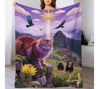 EMYXPAQM Persian Fleece Throw Blanket for Couch Sofa Bed All Season Tabby Persian Brown Bear Pattern Blanket Comfort Warmth Flannel for Couple Wife Husband 50x60inch(127x152cm)