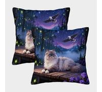 EMYXPAQM Ragdoll Cat Cushion Covers Set of 2, Soft Microfiber Couch Pillow Covers with Hidden Zipper, Premium Square Pillow Cases, for Living Room Bedroom Sofa Chair 40x40cm