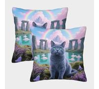 EMYXPAQM Russian Blue Cat Cushion Covers Set of 2, Premium Polyester Throw Pillow Covers with Hidden Zipper, Square Decorative Throw Pillow Cases, for Livingroom Couch Bed Sofa 40x40cm