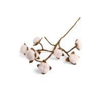 Én Gry & Sif Decorative Branch for Vase I Branch of Cotton Scandi Style I Natural Felt Handmade Fair-Trade I Cotton Flowers - 1 x - 60cm