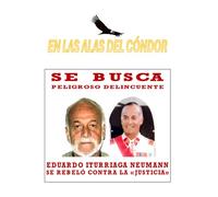 En las Alas del Cóndor