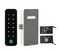 Enabled Cabinet Lock With Fingerprint ID NFC Reader And Mobile App For Real Time User Management And Logs(B)