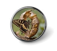 Enamel Lapel Pin - Vintage Record Cover Round Metal Brooch Pin with Secure Pinback, Fashion Button Badge for Clothing, Hats, Bags Decoration, Monarch Butterfly Eclosion, Circular