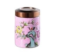 Enamel Tea Containers,Ceramic Food Storage Container,Coffee Bean Tin Canister with Lid for Tea, Coffee, Sugar, Grains, Beans(Style 3)