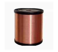 Enamel wire,enameled copper wire,enameled Copper Wire 250g 99.9% Pure Copper Wire T2 Copper Red Copper Line Bare Wire Diameter 0.1/0.2/0.3/0.4/0.5/0.6/0.8/1/1.2/1.5/1.8/2/2.5/3/4 mm