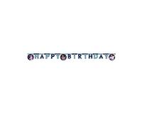 Encanto 2m Cardboard Happy Birthday Banner - Multi-Colour