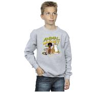 Encanto Animal Magnet Sweatshirt Disney Grey 9 Years