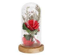 Enchanted Beauty and the Beast Rose, Red Silk Rose in Glass Dome, Romantic LED Lighted Rose for Valentines, Anniversary Gift for Her
